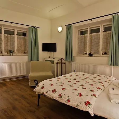 V Podzamci Apartment